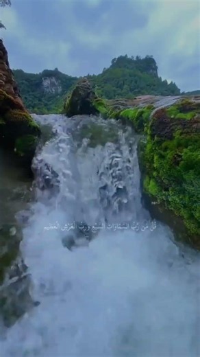 #القرآن_الكريم#قرآن#قرآن_كريم#تلاوات_خاشعة#آيات_قرآنية#راحة_نفسية#طمأنينة #allah #الله #allahuakbar