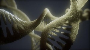 loop double helical structure of dna strand close-up animation