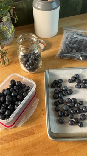 Want to keep your blueberries fresher, longer? 🫐☀️ Say goodbye to mushy berries this summer with these easy blueberry storage tips! #BlueberryTips #FreshFruitHacks #SummerProduce #BerrySeason | Safeway Canada
