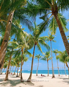 575K views · 17K reactions | Paradise found in Oceanica Beach, Panglao Island, Bohol, Philippines | The_Philippines | Facebook