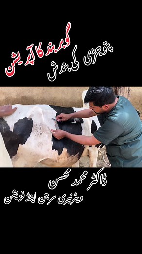 گوبر بند کا آپریشن - ڈاکٹر محمد محسن