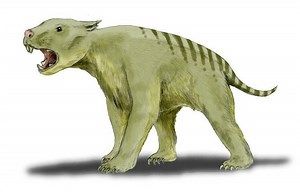 Marsupial lion - Alchetron, The Free Social Encyclopedia