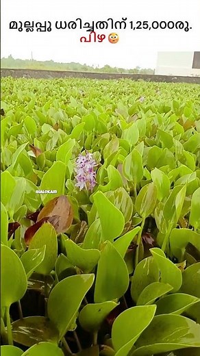 നവ്യ നായർ ചെയ്തത് ഇത്ര വലിയ തെറ്റാണോ?😳