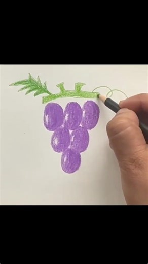 How to Draw a Realistic Purple Grapes!