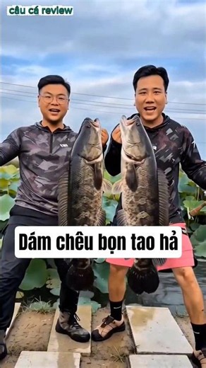 Catching 2 arrogant snakehead fish #fishing #fishinglife