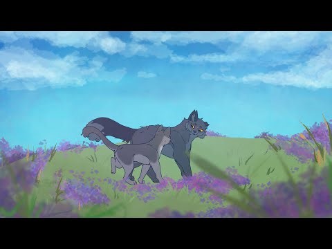 All The Pretty Lights- M.A.P Part 17