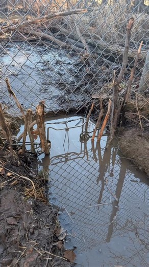 Protect Our Wildlife POW VT | This is a 330 Conibear™ kill trap designed for beavers. It is powerful enough to kill a dog and poses a serious, potentially fatal risk to... | Instagram