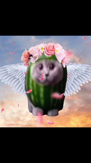 Silly Cats Playing with Watermelon - A Fun Compilation