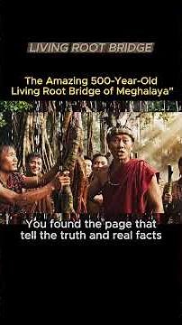The 500-Year-Old Living Root Bridge: Meghalaya’s Ancient Tribal Miracle” #shorts #livingrootbridge