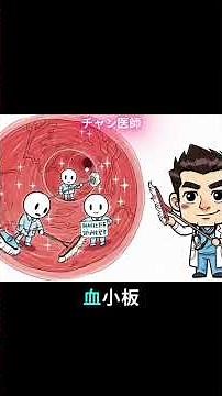 血栓形成の3大要因を徹底解説！家庭でできる予防法とは？