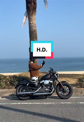 Harley Davidson😎#ハーレーダビッドソン #ハーレー女子 #harleydavidson #フォーティーエイト #ツーリング #power