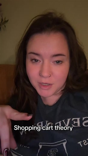 Understanding the Shopping Cart Theory: Integrity in Action