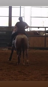 9.6K views · 210 reactions | Co Host of Making A Cowhorse Emily Patterson with some great insight on fencing a nervous cow horse. Check out the full episode with a free trial at www.HORSEpro.tv | HORSEpro.tv | Facebook