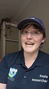 Check out the paper in full for greater detail: Preliminary Evidence of Chlamydiosis in Koalas of the Greater Geelong Region, Victoria: A Potential Emerging Threat? (Kramer et al., 2025) To support our ongoing work to safeguard the future of these brilliant koalas, please consider making a donation today. All links via the link in our bio  | Koala Clancy | Facebook