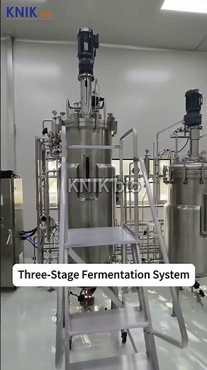 Three‑Stage Fermentation System | Multi‑Stage Bioreactor