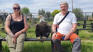 33K views · 181 reactions | Hi Fans. ****UPDATE - We were...