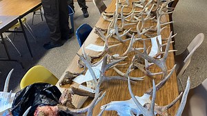 Claims of largest deer poaching operation in West Virginia involves Officer of the Year