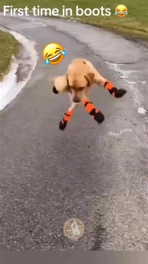 Yuen Yi Candy Lam on Instagram