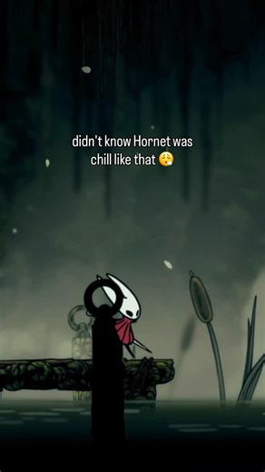 DMGT on Instagram: "GOTY btw #silksong #gaming"