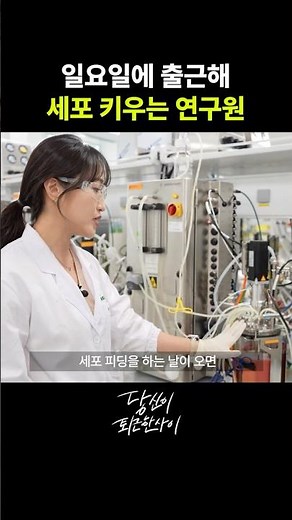 바이오 회사에서 세포 키우는 방법 | 당신이 퇴근한 사이