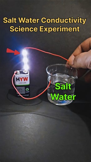 Salt Water Conductivity Science Experiment 💡#simpleexperiment #shorts #ytshorts