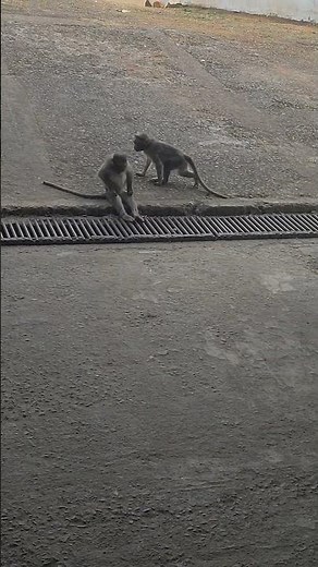 Write success story!