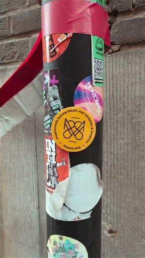 Mooss educatie blijft plakken