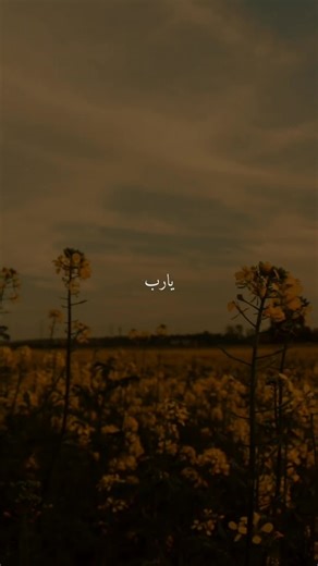 فيديوهات أنشأها 𓅃🅑🅐🅓🅡𓅃 (@22_bm_bm_22) باستخدام الصوت الأصلي - 𓅃🅑🅐🅓🅡𓅃