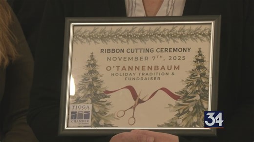 The 23rd annual O’ Tannenbaum event takes place in Owego