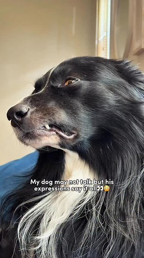 8.1K views · 1.4K reactions | I’ve said it before & I’ll say it...