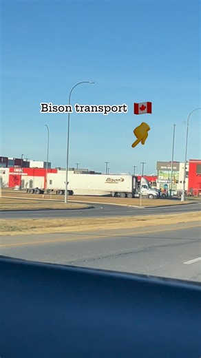 A Bison transport truck spotted 🇨🇦😎 #trucks #transport #truckers #semitrucks #FYI #spotted #truckerlife #delivery #deliverytruck #logistics #freight #Freightliner #freightforwarding #virals #reels101 #canadalife #canadaeh | Melba LG Licayan Vaudry