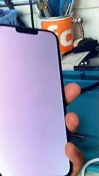 iPhone 13 Pro Max white screen!