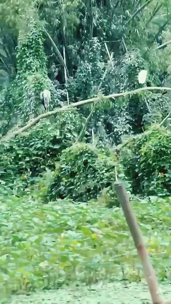 Thung Nham, le Jardin Caché du Vietnam