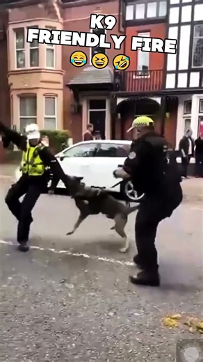 Police Dog Attacks Wrong Cop! (K9 FAIL) 😂🐕#shorts #funny #police #k9 #fail #cops #dog #funny