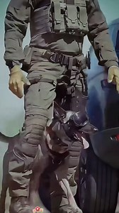 Commando & K9 Sync Training 🤝🐾 | Pet Lab Reviews