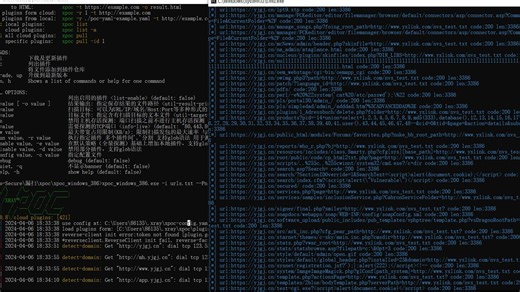 黑客攻防：W9scan X-Poc Subfinder一键精准打击漏洞