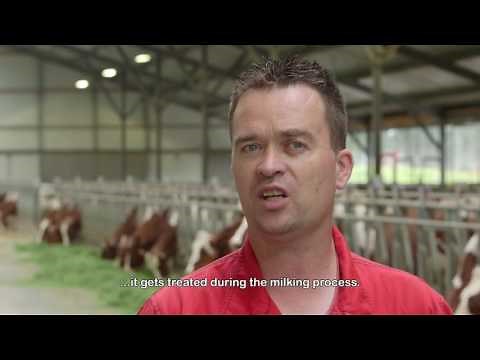 Lely Meteor - Experience dairy farmer - EN