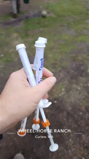 11 reactions | Worming time!!! #wheelhorseranch #horses #goats #dogs #cats | Wheel-Horse Ranch | Facebook