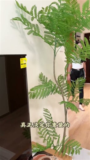 体重秤华为HUAWEI Hilink Pro升级版智联体脂秤电子秤称体重秤智能称重精准宿舍家用减肥专用精准 【HUAWEI生态认证】体脂秤-白色-充电款