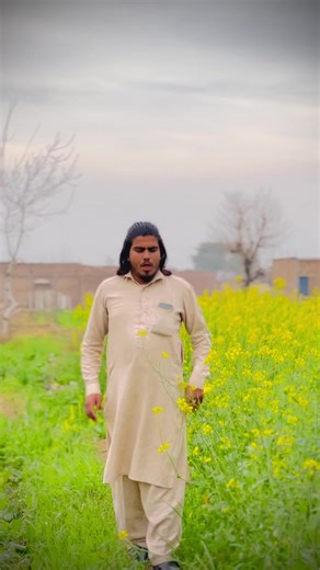 Understanding Cheetahs: Life and Behavior Insights