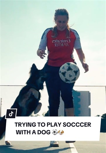 Trying to play soccer with two dogs. They are good defenders! 😅💪🐶⚽️ #soccer #dogsoftiktok #funny #fyp Good win #arsenal