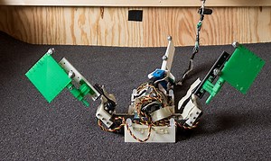 New paper on a mudskipper-inspired robot published in Science!