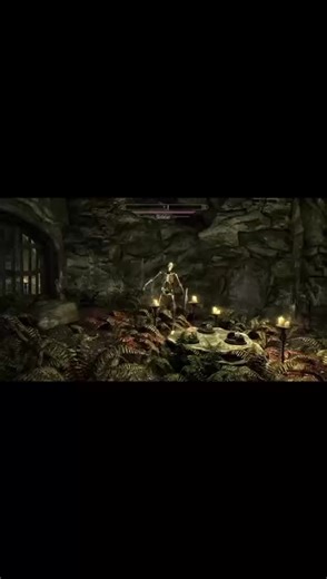 Skeleton Shield Meme: Absurd Humor at its Best