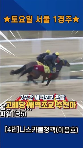 Saturday, April 18th, Seoul Race 2!! Kang Baek-ho, who trained for 2 weeks, early morning trainin...
