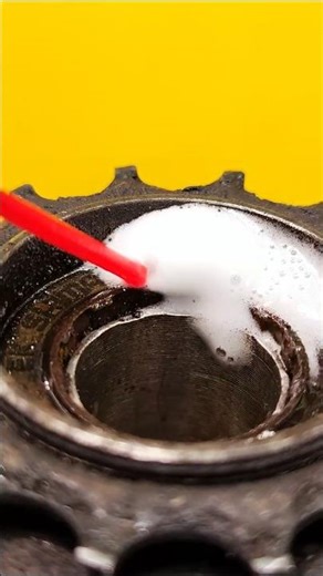 The freewheel bicycle mechanism inside