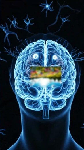 What's actually happening inside your eye right now #biology