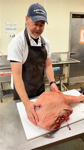 Pine Street Market on Instagram: "The hog breakdown continues! In Part Three of this series, Butcher Rusty teaches us about the esteemed pork shoulder, where the “butt” and the “picnic” meet. The pork butt comes from the upper part of the shoulder, closer to the spine. It is well marbled, dense, and ideal for slow cooking, braising, and pulled pork. The picnic shoulder comes from the lower part of the shoulder, closer to the leg. It contains more connective tissue and often includes skin. It is