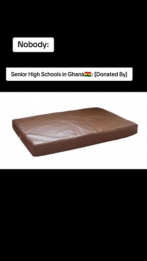 Experiences of Ghanaian Senior High Schools: Donations