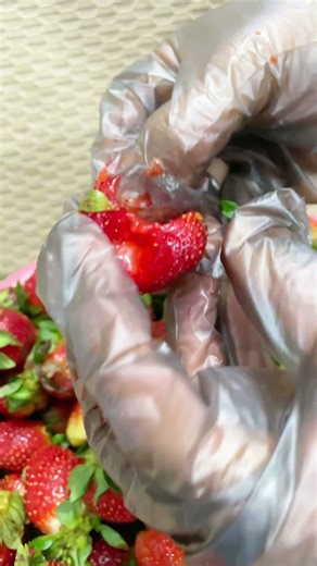 Red strawberry cutting #red #strawberries #strawberry #tasty #cuttingfruit #foodie #yummy #kitchen