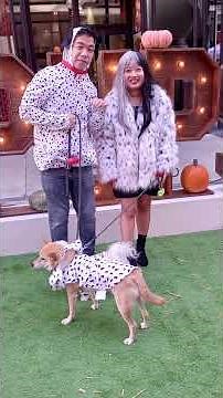 Funny Dogs and Their Humans in Halloween Costumes!🎃🐶